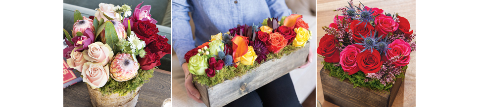3 Things to Keep in Mind
When Choosing an Online Flower Delivery Service
